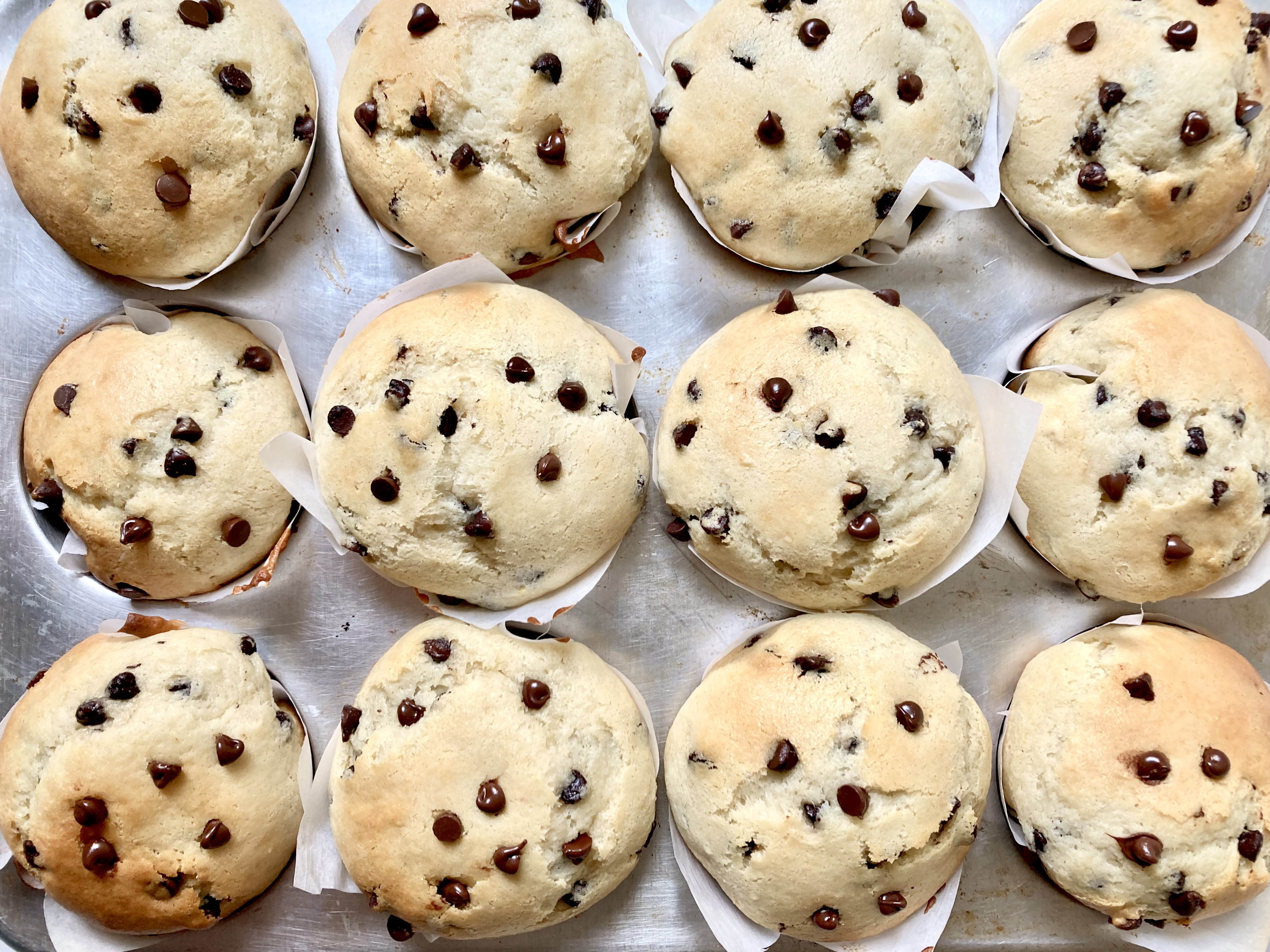 Bakery Style Chocolate Chip Muffins